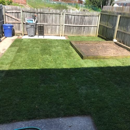 Before and after....it looks like a new yard. Wond