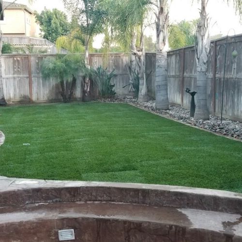 We had sod installed in our backyard this week and