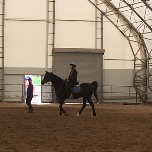 My granddaughter had her first horse riding lesson