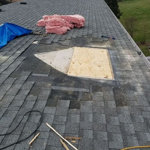 Jan did a 4x6 patch job on our roof from an openin