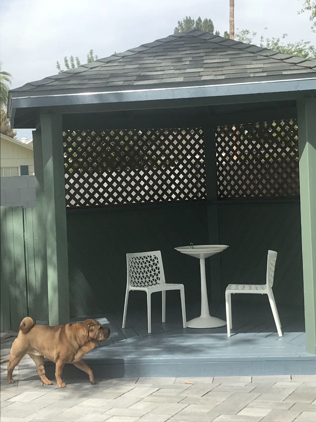 Customer photos