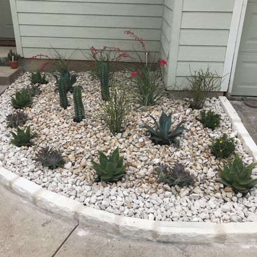 Rafael did a great job on my front cactus/succulen