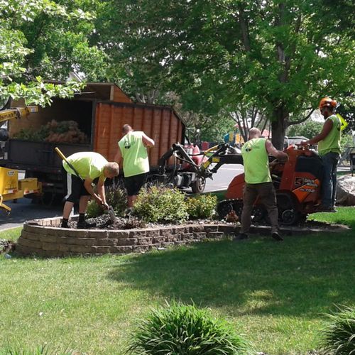 Twin Cities Tree Care Professionals are just that,