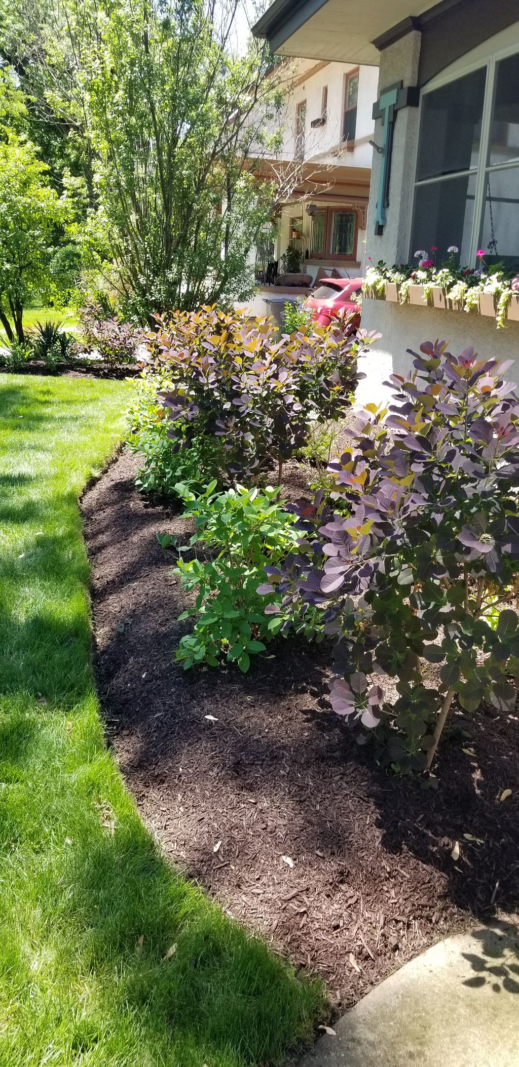 Customer photos