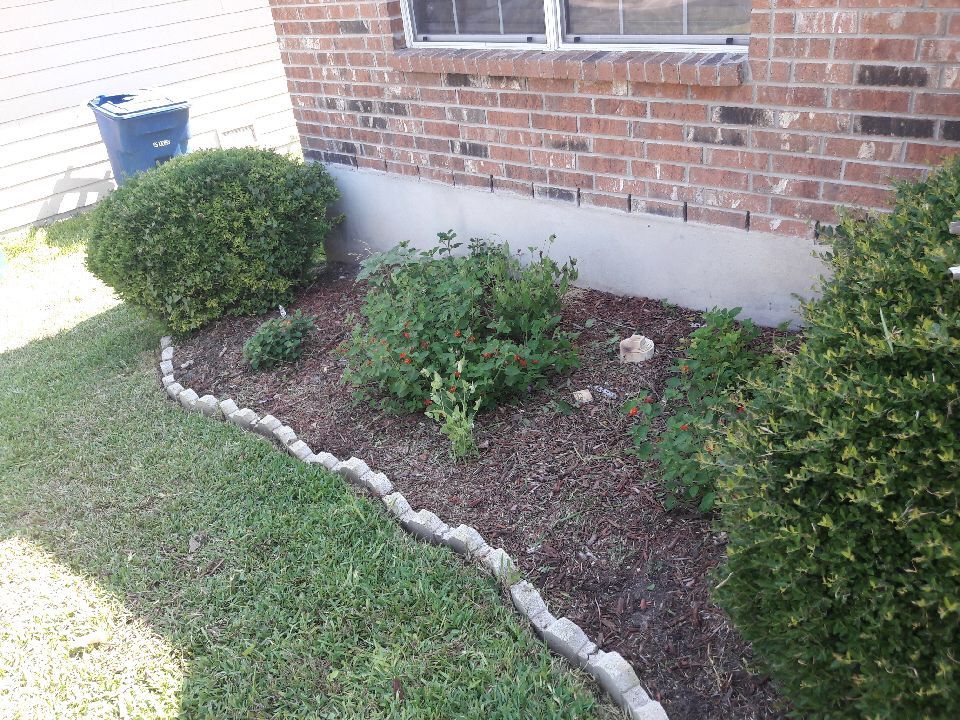 Customer photos