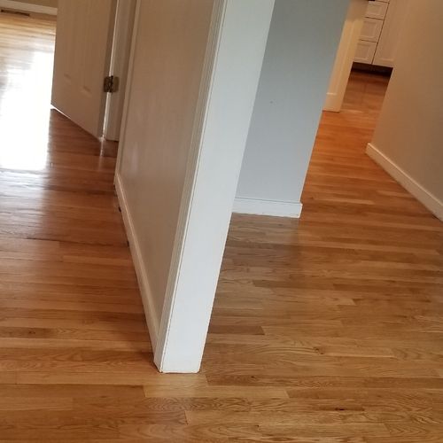 Lu did a great job with my floors!