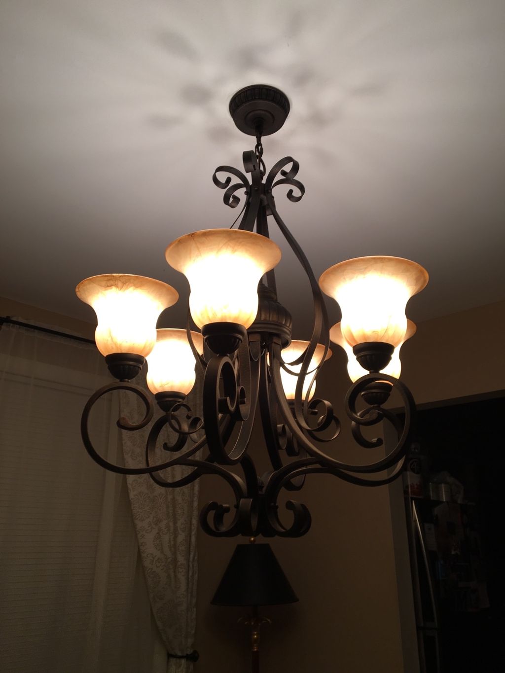 Customer photos