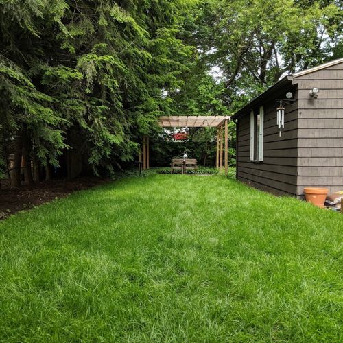 I had new sod installed in my small backyard. The 