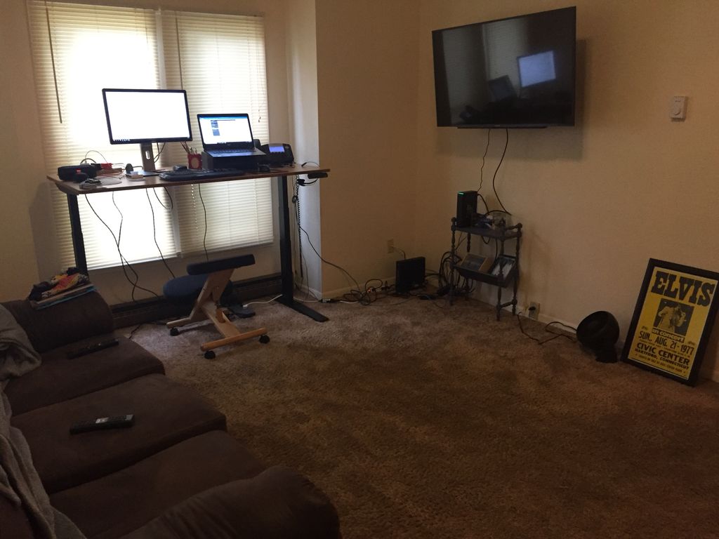 Projects and media