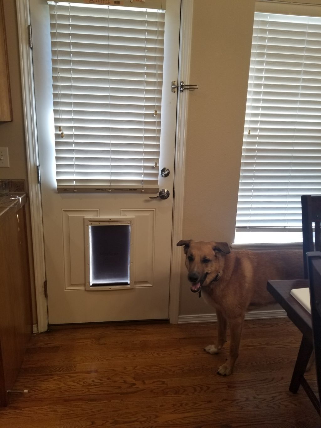 Customer photos