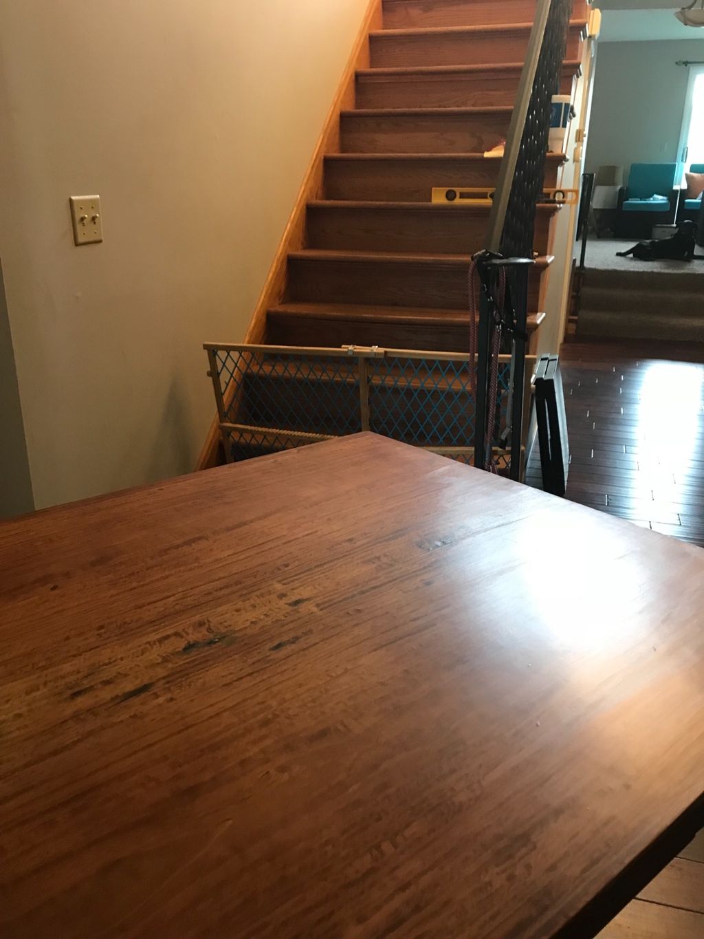 Customer photos