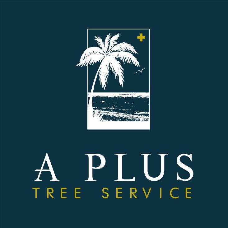 A Plus Tree Service