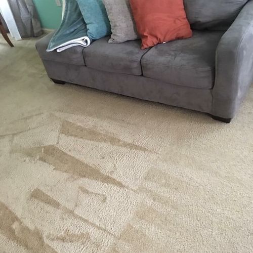 He did a wonderful job in my carpet, I recommend t