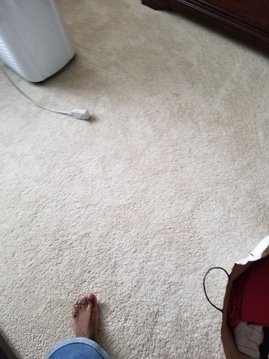 Excellent job removing the wrinkles in my carpet. 