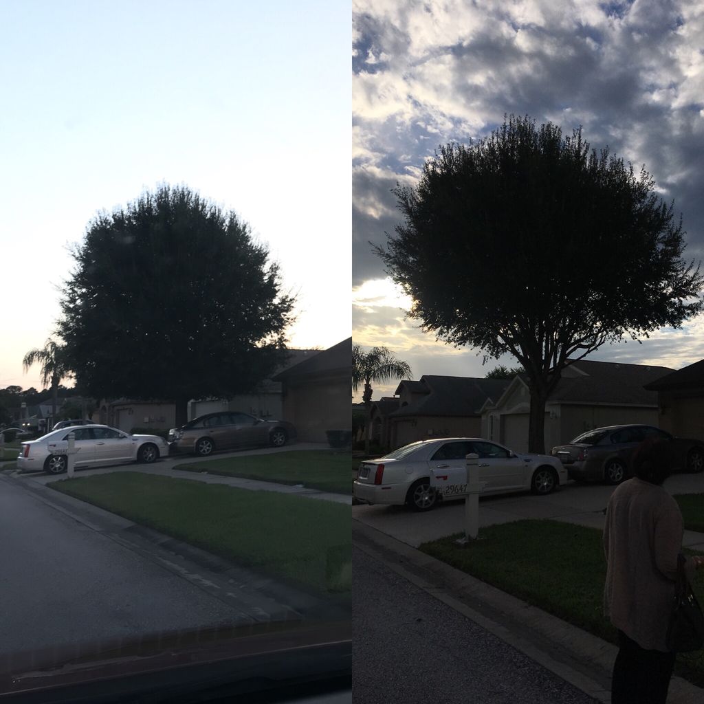 Customer photos