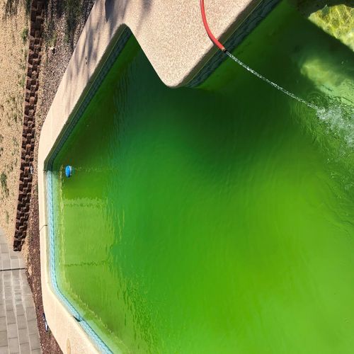 I needed a green pool cleaned right away for an in