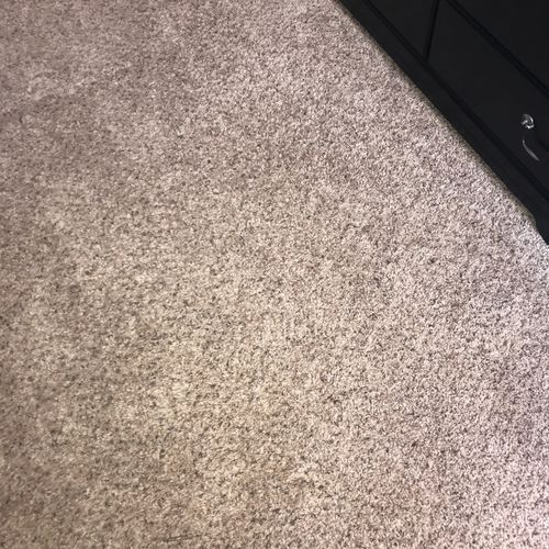 Ramsey Solutions did an amazing job on my carpet e