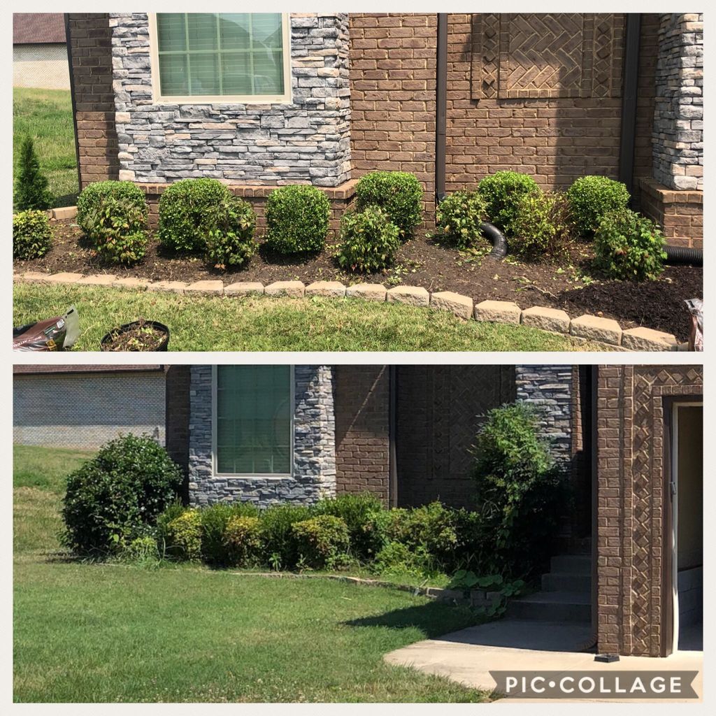 Customer photos