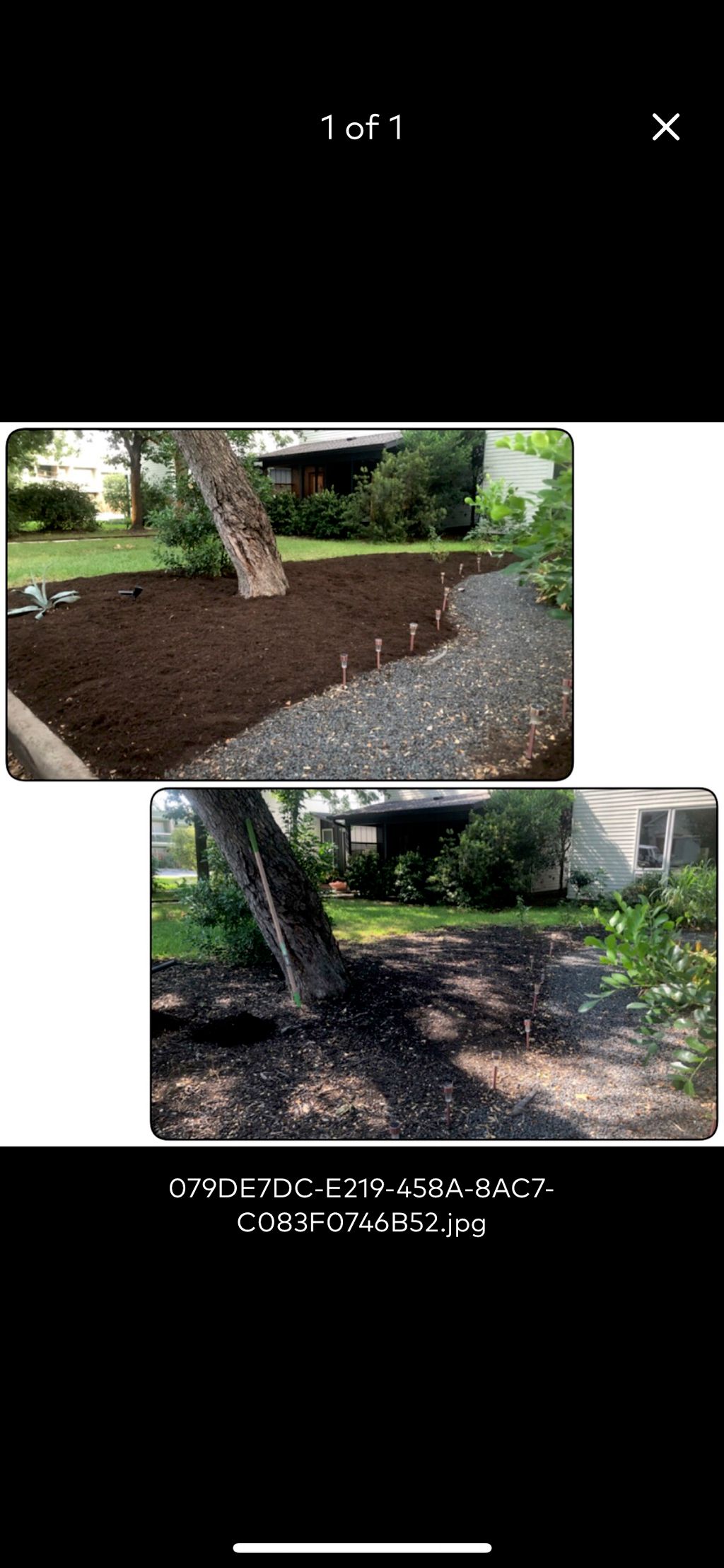 Customer photos