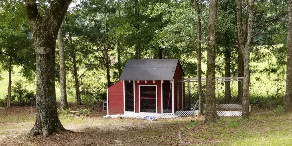 The project was building a chicken coop in my back