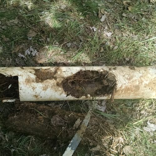 My sewer line had been backing up for the past 3 y