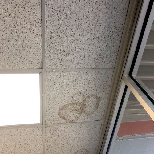 We needed ceiling tiles resized and replaced and a