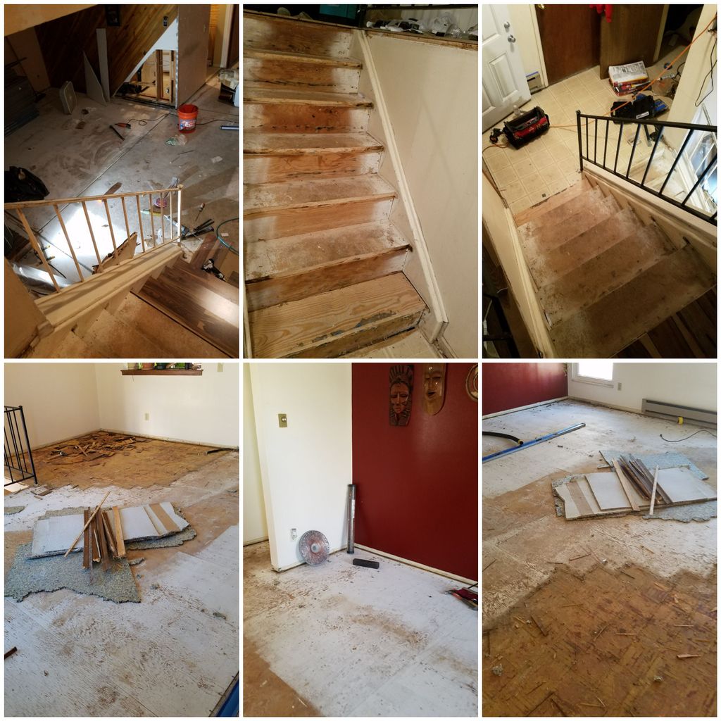 Projects and media