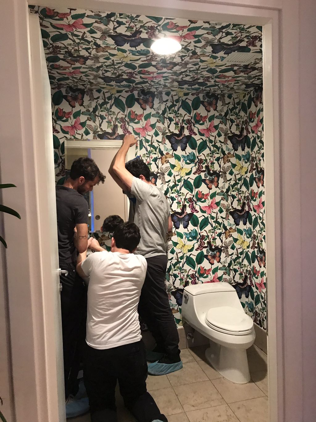 Customer photos