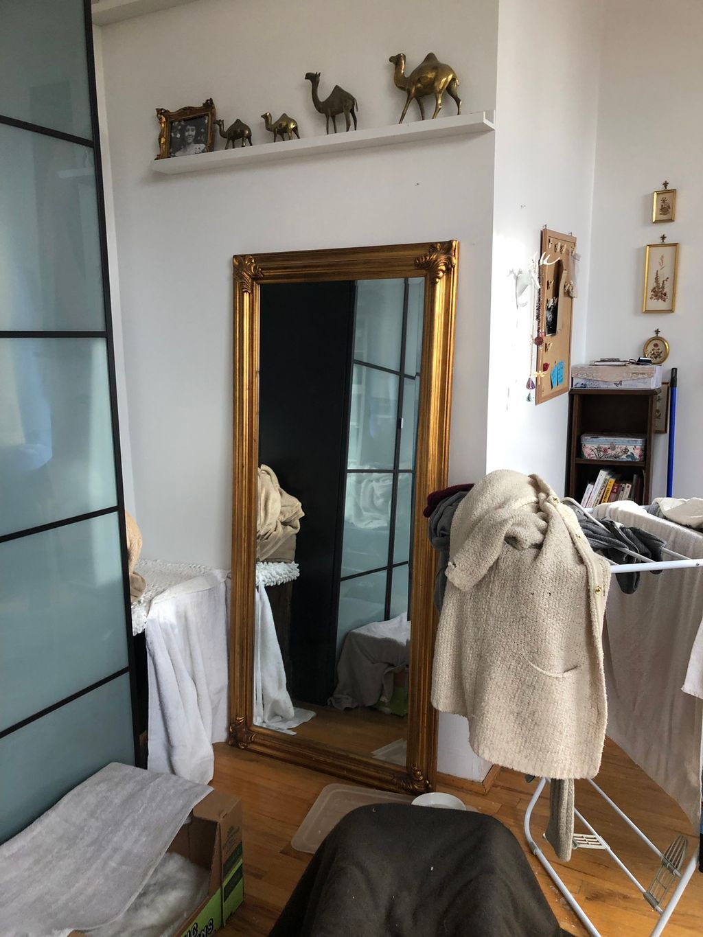 Customer photos