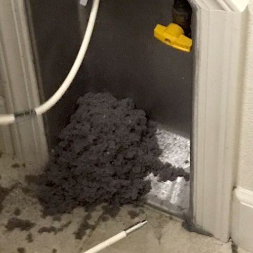 Sean did a great job in cleaning our dryer vent , 