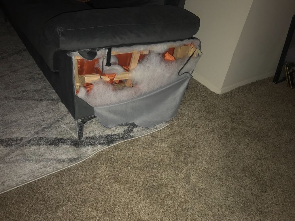 Customer photos