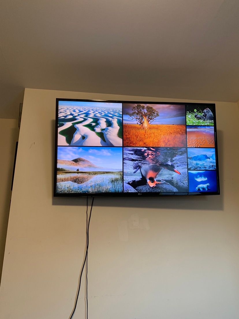 Projects and media