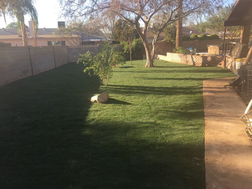 Customer photos