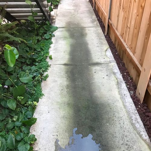 I hired San Diego Pressure Washing to come out was