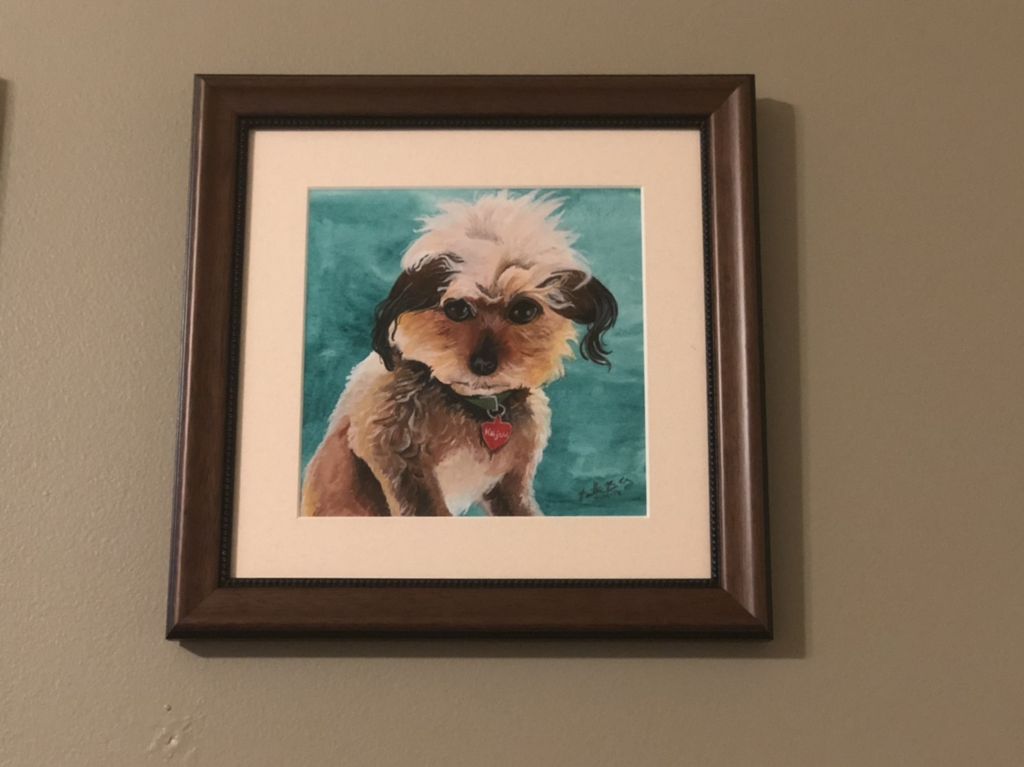 Customer photos