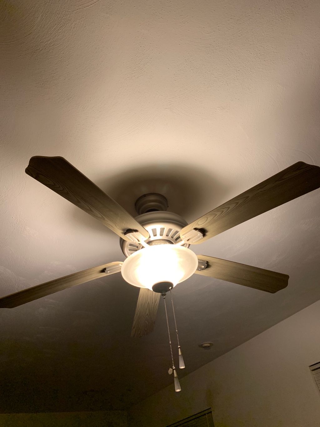 Maurice installed a new ceiling fan in my family r