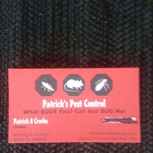 I had a great experience with Patrick's pest contr