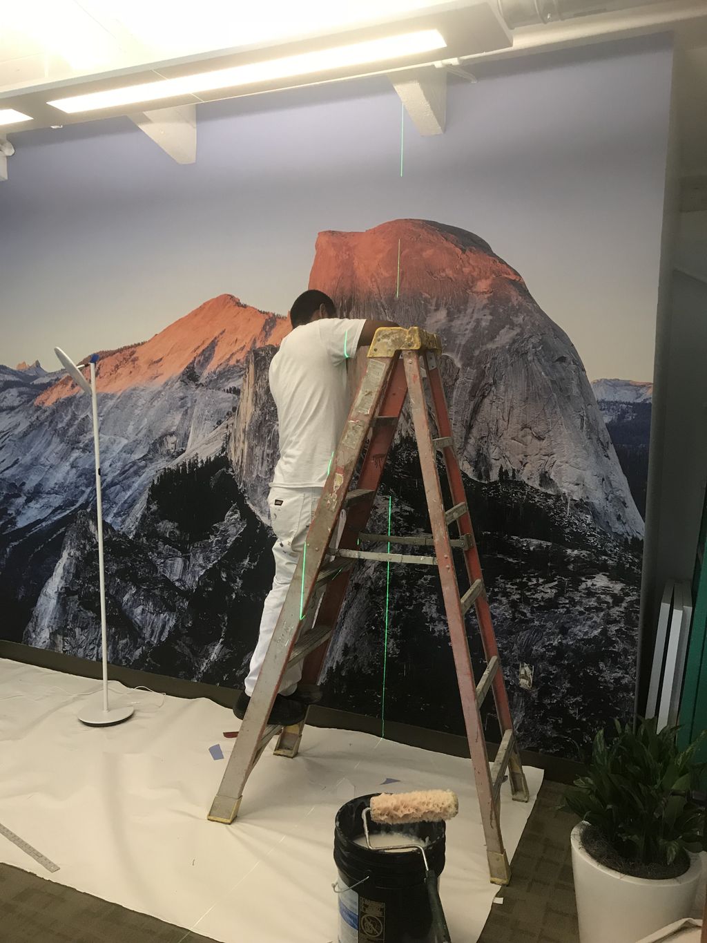 Projects and media