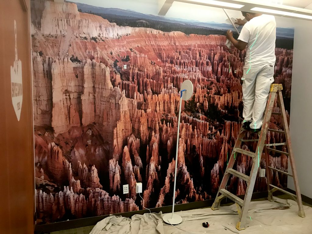 Projects and media