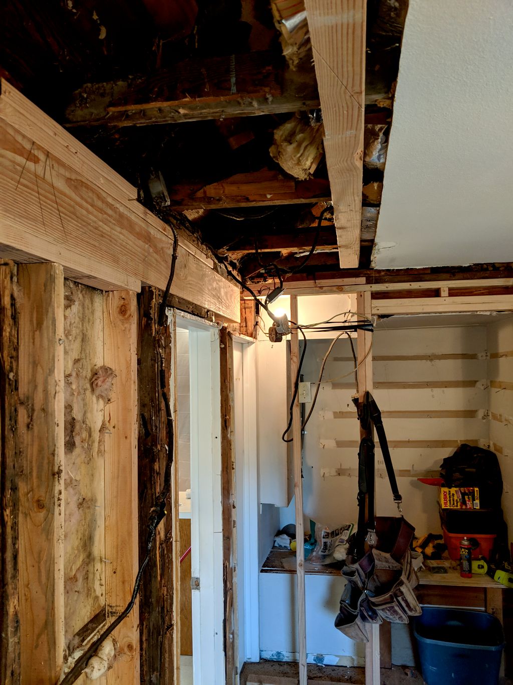 Dry rot repair