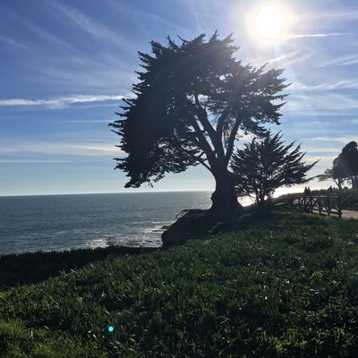 Avatar for Wright Services