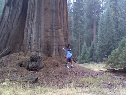 Always see the forest AND the trees!!