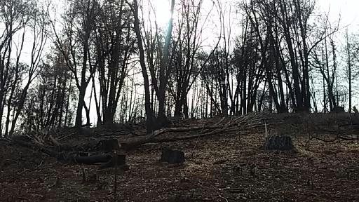 Cali forest fires give me deep perspective