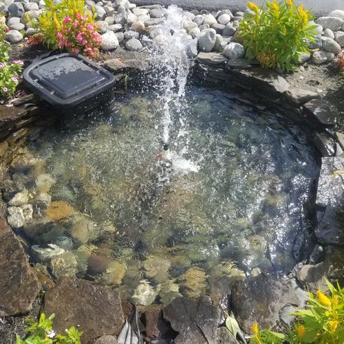 small pond/fountain cleaning