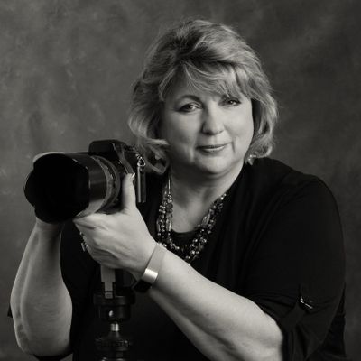 Avatar for LC PHOTOGRAPHY