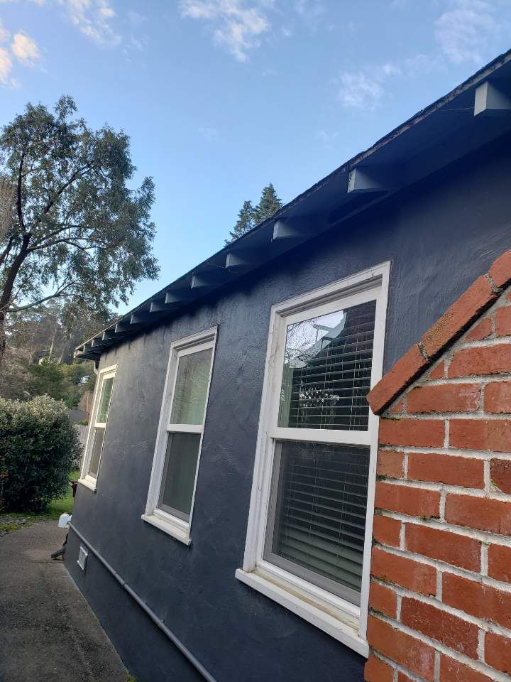 2019 Feb. in Mill Valley, Before the OG gutter and