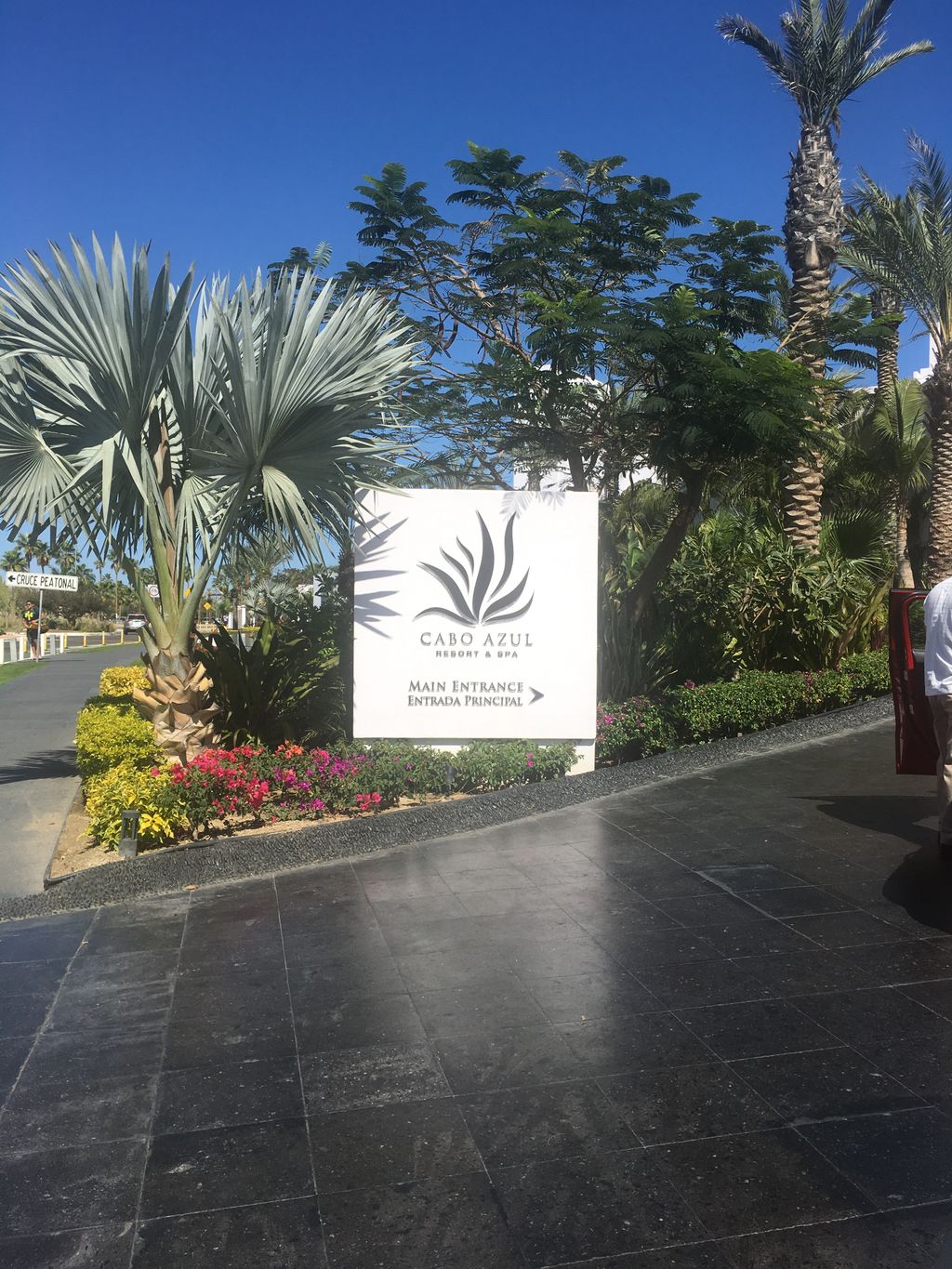Los Cabos