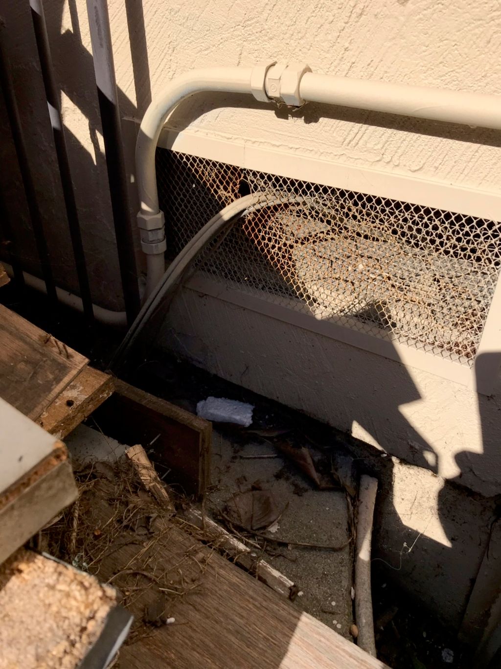 Rodents entering through hole in vent