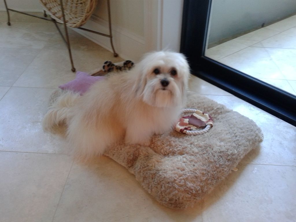 jolie