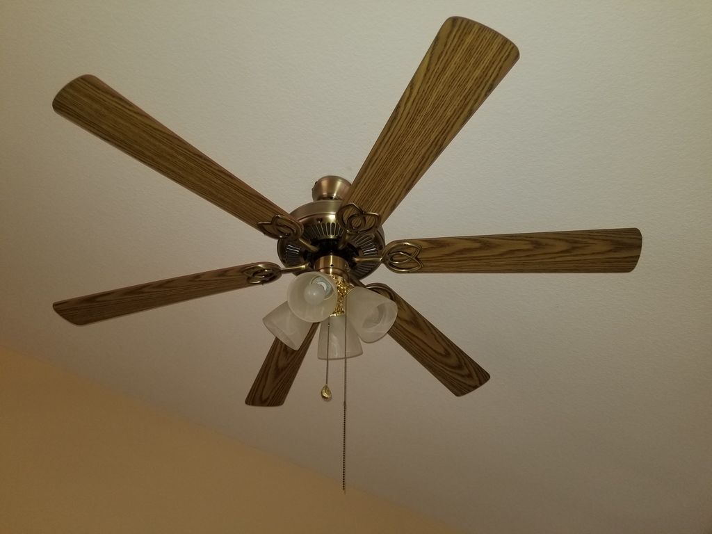 celling fan cleaned & disinfected 